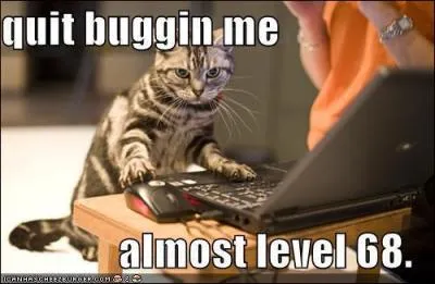 On pense qu'il est l'anctre de nos chats, on l'appelle le chat ...