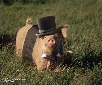 Aucun de ses amis ne s'appelle Watson, mais il devrait vous rappeler quelqu'un !