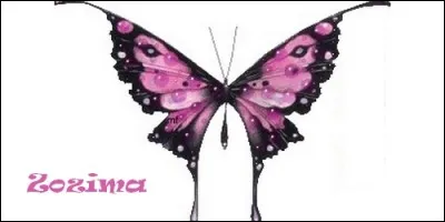 Quelle est la signification du prénom Zozima ?