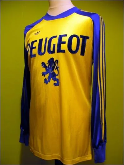 Quel club de foot, voluant sur le stade Auguste-Bonal, est surnomm 'Les Lionceaux', en rfrence  son sponsor, le constructeur automobile Peugeot ?