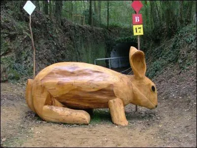 Le Mondial du Lion est une comptition sportive organise chaque anne dans la ville Le Lion-d'Angers, en Maine-et-Loire. Quel sport est-il concern ? (la photo reprsente un obstacle sur le parcours)