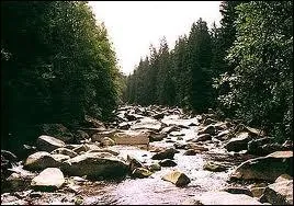 Quel est ce musicien n en Bohme auquel on doit La Moldau ?