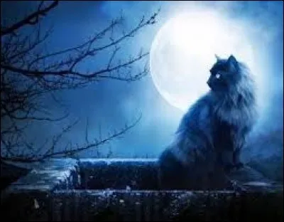 Traumatisé à la suite d'un accident qui coûta une jambe à sa cavalière, il sera soigné par le "murmureur".