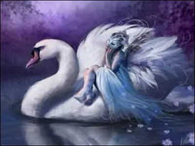 Où trouve-t-on Bouton d'or ?