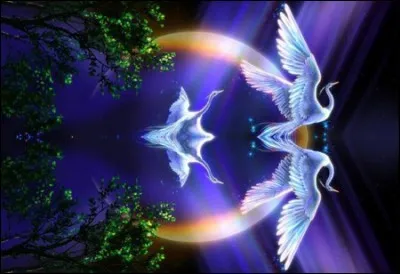 Son nom : Incitatus. Par qui a-t-il été fait consul ?