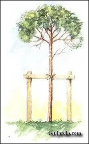 Normalement, c'est une protection de pupille !