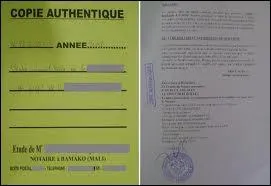 Il peut tre gratuit ou mis en scne !