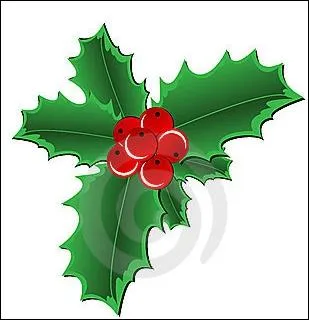 Cette plante fait penser  Nol. Si vous voulez l'observer, mfiez-vous, elle a des ptales qui piquent. En son centre, on peut voir quelques jolis petits points rouges . C'est :