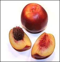 La nectarine a longtemps t appele :