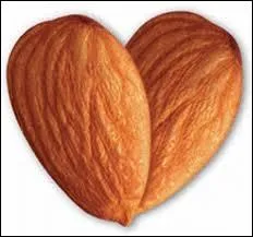 L'amande est un fruit sec qui pousse sur l'amandier. Elle provient de la famille des :