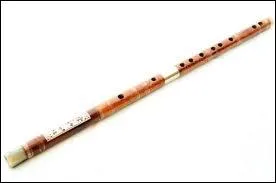 Quel est cet instrument ?