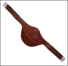 Pour protger le cheval des crampons, on met :