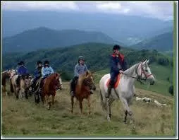 En promenade, il faut tre ... . avec les gens.