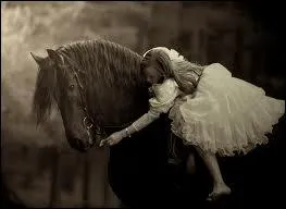 tre cavalier, ce n'est pas seulement tre un bon technicien, c'est aussi :