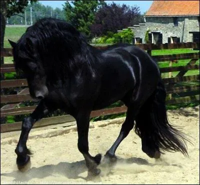 Comment s'appelle cette robe ?