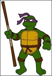 Mais quelle est cette tortue ninja ?