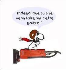 De quel livre est tire cette question bien connue : 'Que diable allait-il faire dans cette galre' ?
