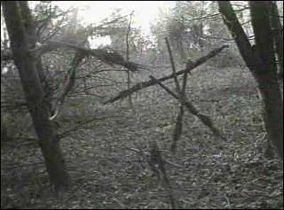 Quel est le nom de ce film horrifique ?