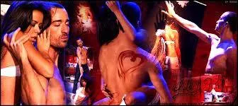 La danse, le mime, le thtre et le cirque sont regroups dans ...