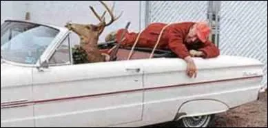 Qui a chass l'autre ?