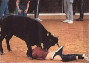 Celui-l aurait mieux fait de ne pas mettre les pieds dans cette ...