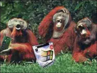 Ils sont morts de rire !