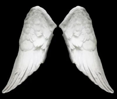 L'aigle noir dans un bruissements ...