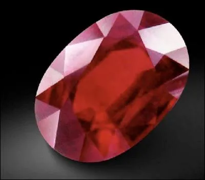 Il avait les yeux couleur ...