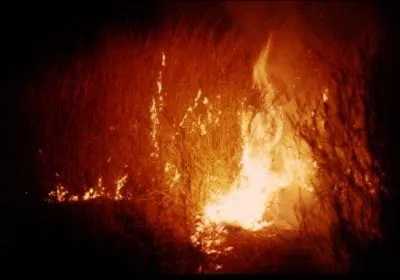 Brillant de mille...