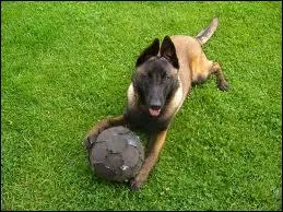 ''Le ballon, c'est comme une femme, il aime les caresses... ''