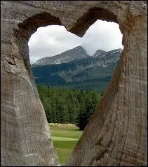 ''Pour que votre voyage de noces soit un succès total sur le plan touristique, sentimental et sexuel, la première chose à faire est de partir seul(e).''