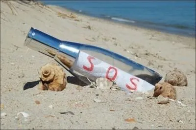 ''Comme un fou va jeter à la mer 
Des bouteilles vides et puis espère 
Qu'on pourra lire à travers 
SOS écrit avec de l'air 
Pour te dire que je me sens seul''