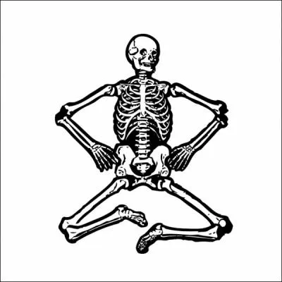 De combien d'os est form� notre ossature ?