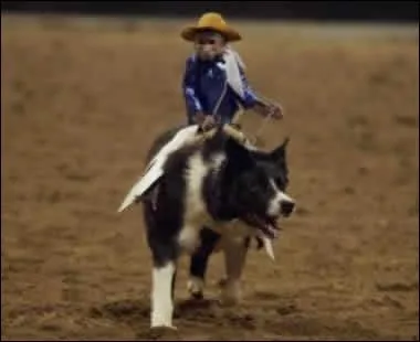 Cet enfant adore monter sur le dos de son chien !