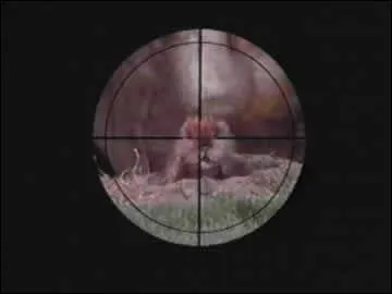 Un chasseur qui manque sa cible a plus de chance d'chapper  un lion qu' une lionne, en grimpant  un arbre !