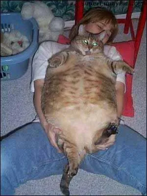 Cette photo est truque !