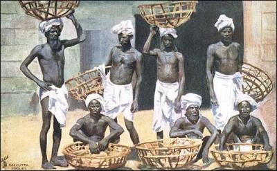 Dans le système colonial, la population indigène ne peut pas servir de : (Illustration les coolies (porteurs) de Calcutta en 1901.)