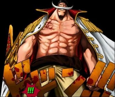 Comment se nomme le plus puissant pirate du monde ?