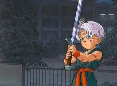 Qu'allait faire Trunks ?