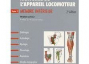 Quiz Anatomie et sant du corps humain (8)