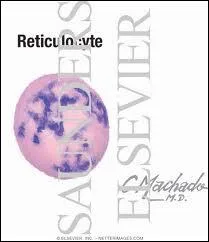 Qu'est-ce qu'un rticulocyte ?