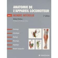 Quiz Anatomie