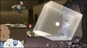 Qui matrise la capacit Jinton (manipulation de la poussire) ?