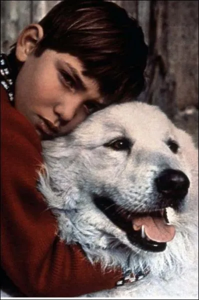 Comment se prnomme (officiellement) le petit garon dans cette srie ?