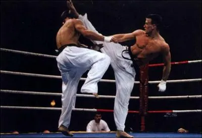 Full Contact. ( Ce n'est pas une image du film, car je n'ai pas trouv d'images sans l'acteur principal).