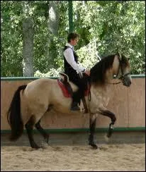 Qu'est-ce que le 'piaffer' ?