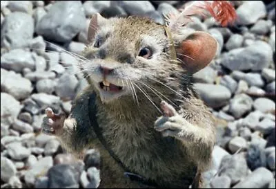 Comment s'appelle - t-il ?