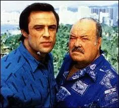 Quelle srie runit le dtective Jake Styles et le procureur Jason 'Fatman' McCabe ? (1987)