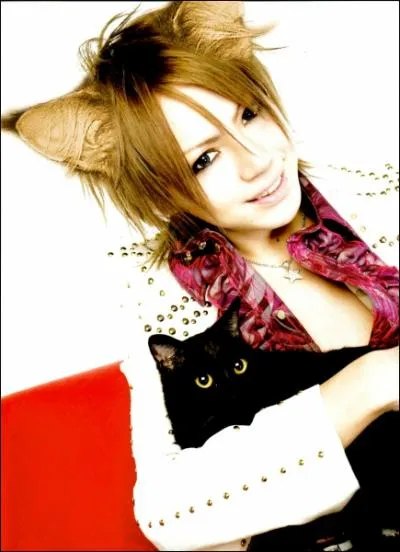 Le chanteur d'Aline Nine est-il mort ?