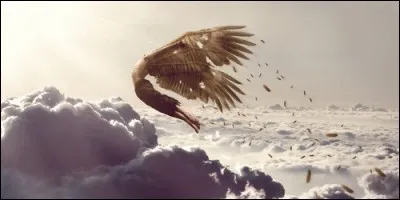 Quel était le rêve d'Icare ?